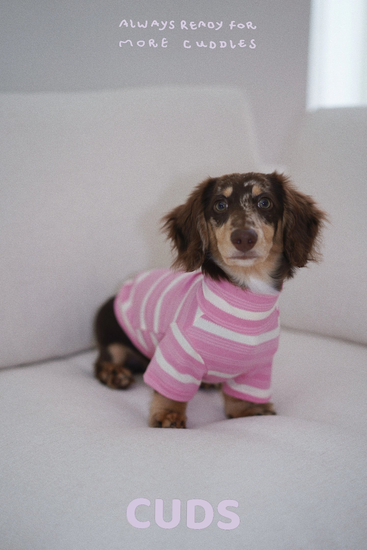 Sakura|CUDS Essentials Dog Shirt CUDS