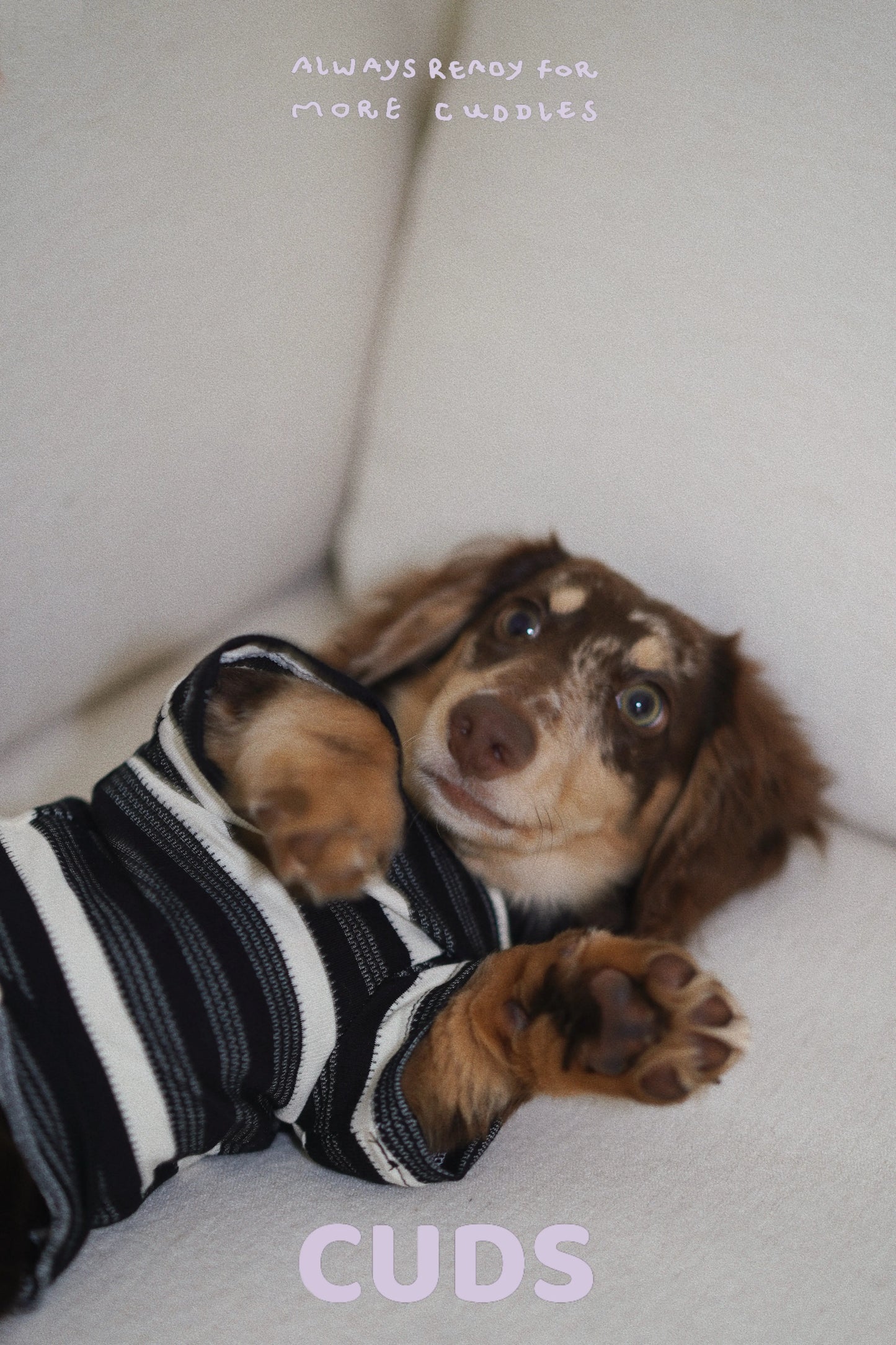 Oreo|CUDS Essentials Dog Shirt CUDS