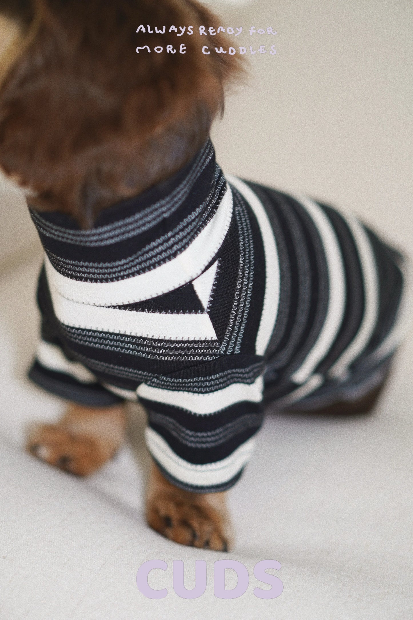 Oreo|CUDS Essentials Dog Shirt CUDS