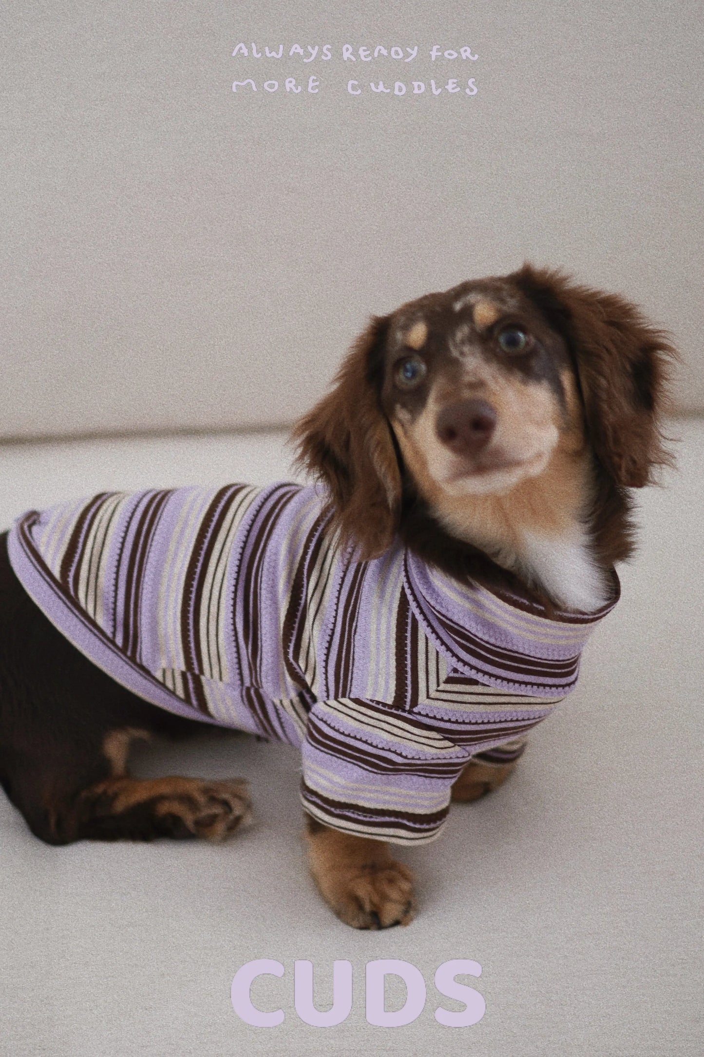 Acai|CUDS Essentials Dog Shirt CUDS