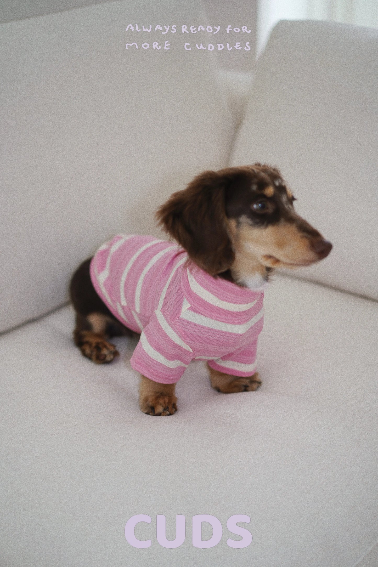 Sakura|CUDS Essentials Dog Shirt CUDS