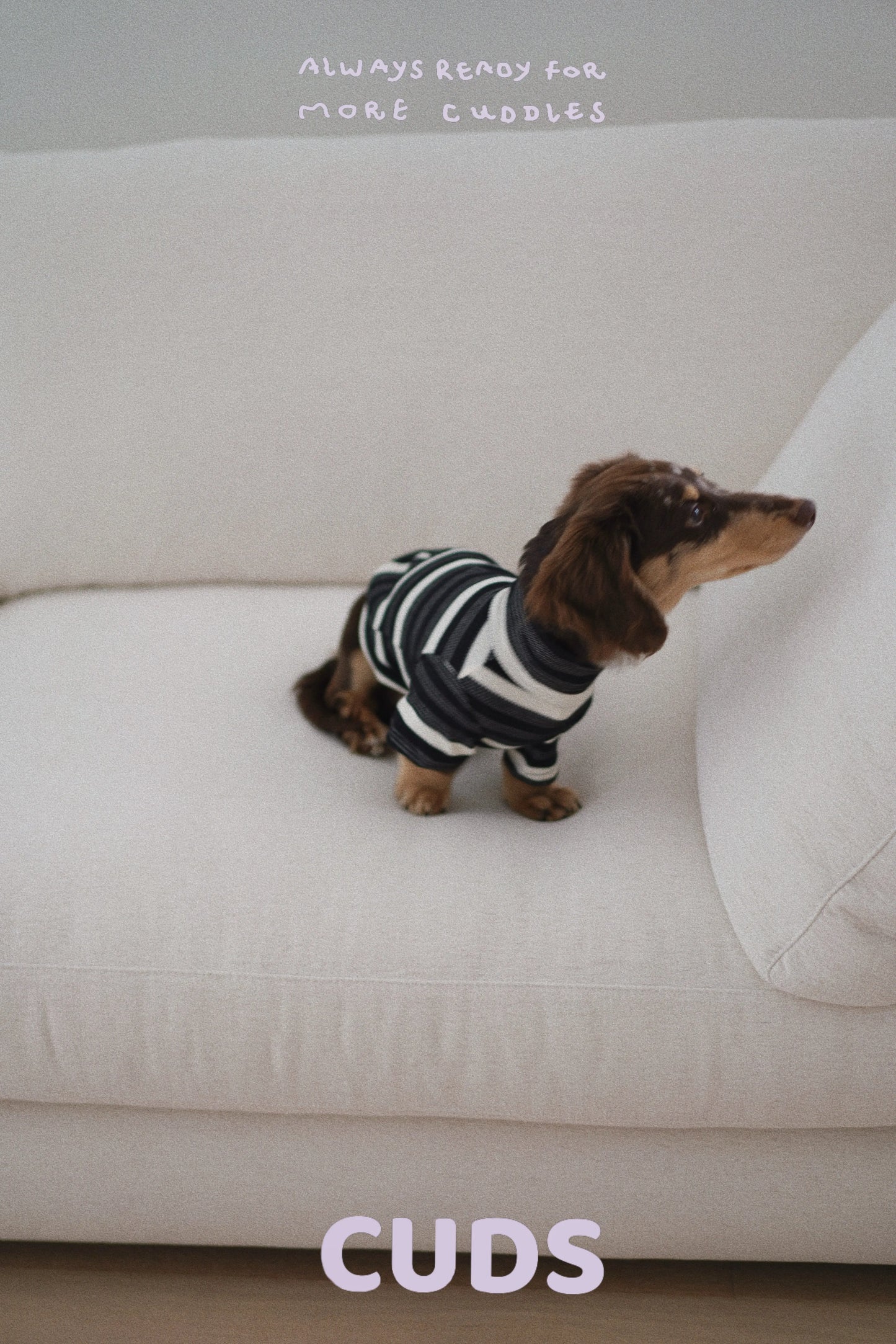 Oreo|CUDS Essentials Dog Shirt CUDS