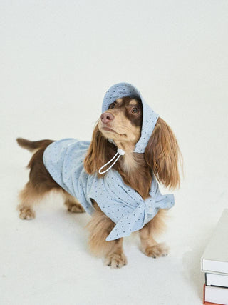 CUDS-SS26-Collection-Pup-Date CUDS