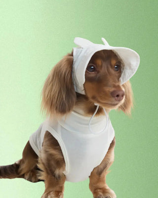 Hats CUDS