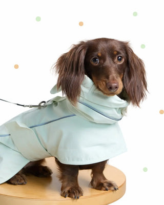 Green Apple | The Bunny Raincoat CUDS