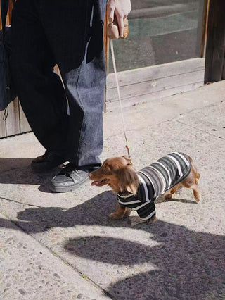 Shirts CUDS