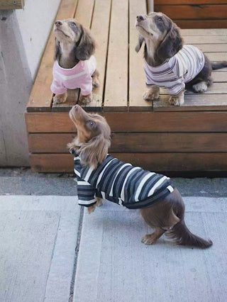 CUDS Essentials Collection