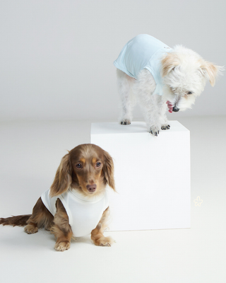 CUDS SS26 Collection- Pup Date