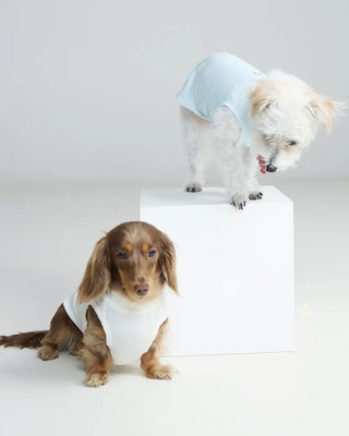 CUDS-SS26-Collection-Pup-Date CUDS