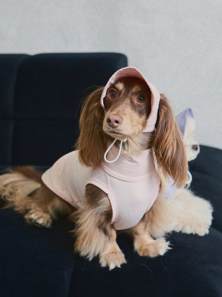 Cherry Blossom｜ UPF100+ Dog Cooling Vest