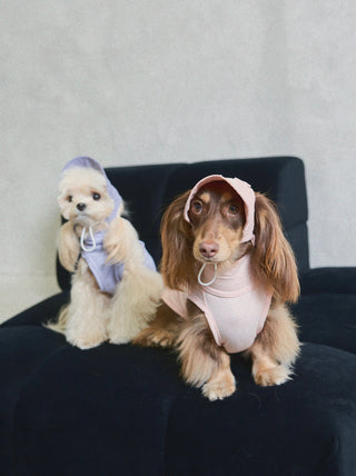 Cherry Blossom｜ UPF100+ Dog Cooling Vest