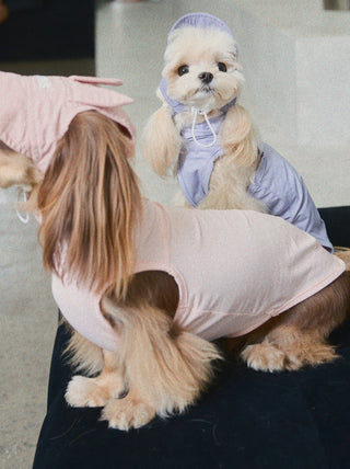 Purple Bunny｜ CUDS Dog Cooling Hat