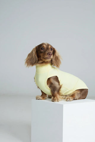 Butter｜ UPF100+ Cooling Vest - CUDS