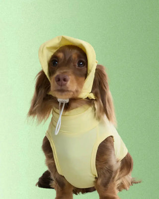 Butter｜ UPF100+ Dog Cooling Vest