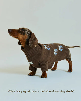 Chocolate |The Honeybee Sweater