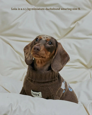 Chocolate |The Honeybee Sweater
