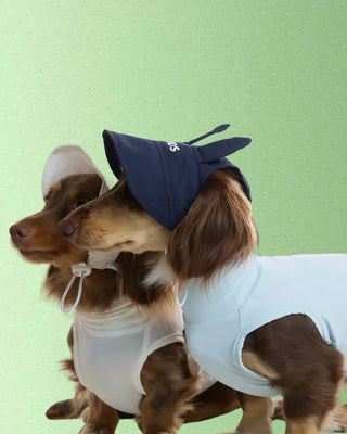 Navy Bunny｜ CUDS Dog Cooling Hat CUDS