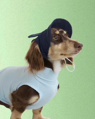 Blueberry｜ UPF100+ Dog Cooling Vest