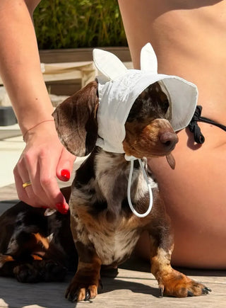 White Bunny｜ CUDS Dog Cooling Hat
