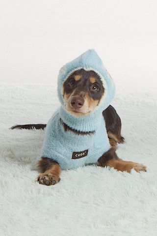 Mint | CUDS Sweater CUDS