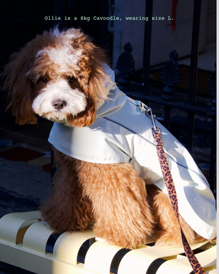 Green Apple | The Bunny Raincoat CUDS