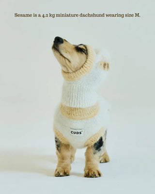 Honeybee | Alpaca Dog Sweater