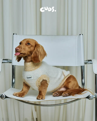 Honeybee | Alpaca Dog Sweater