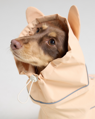 Guava |The Bunny Raincoat CUDS