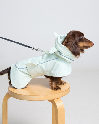 Green Apple | The Bunny Raincoat CUDS