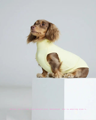 Butter｜ UPF100+ Cooling Vest - CUDS