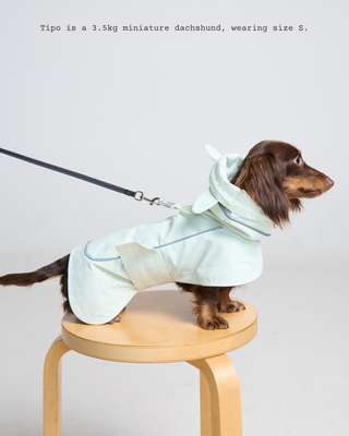 Green Apple | The Bunny Raincoat CUDS
