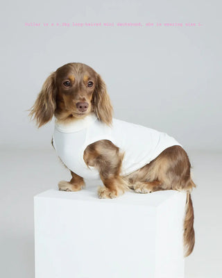 Love｜ Anti-static Breathable Merino Vest - CUDS