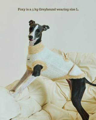 Honeybee | Alpaca Dog Sweater