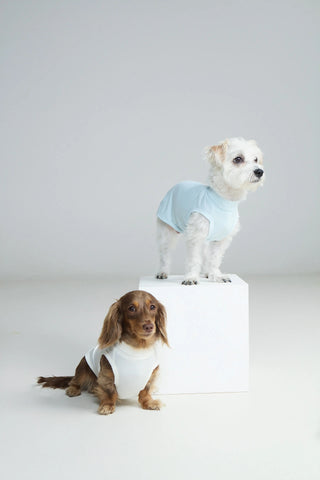 Ice｜ UPF100+ Cooling Vest - CUDS