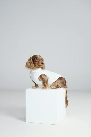 Love｜ Anti-static Breathable Merino Vest - CUDS