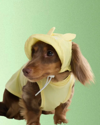 Yellow Bunny｜ CUDS Dog Cooling Hat CUDS