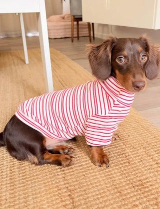 Valentine｜CUDS Essentials Dog Shirt
