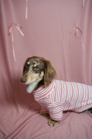 Valentine｜CUDS Essentials Dog Shirt CUDS