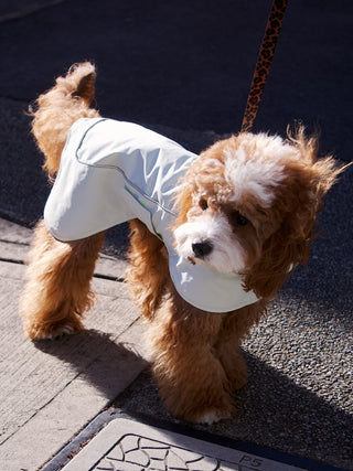 Green Apple | The Bunny Raincoat CUDS
