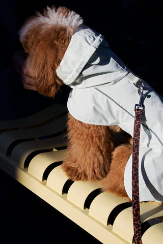 Green Apple | The Bunny Raincoat CUDS