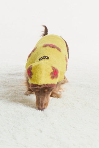 Pudding| CUDS Sweater CUDS