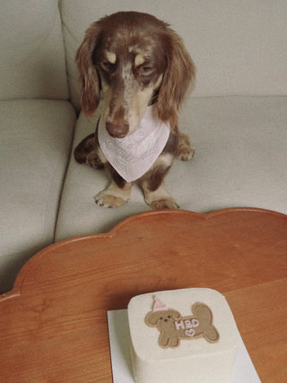 Pink | CUDS Happy Birthday Bandana