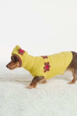 Pudding | CUDS Sweater CUDS