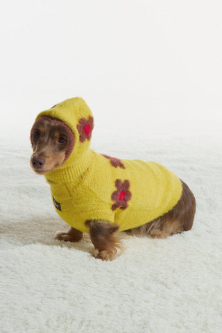 Pudding | CUDS Sweater CUDS