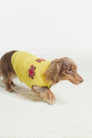 Pudding | CUDS Sweater CUDS