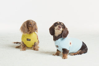 Pudding | CUDS Sweater CUDS