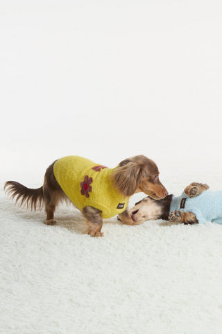 Pudding | CUDS Sweater CUDS