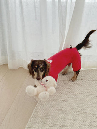 Cherry | CUDS Dog Fleece Suit