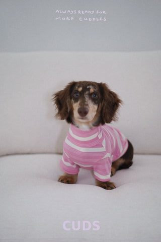 Sakura｜CUDS Essentials Dog Shirt CUDS