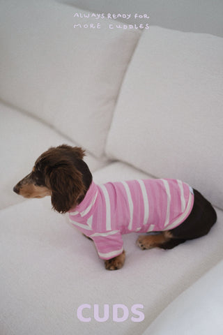 Sakura｜CUDS Essentials Dog Shirt CUDS